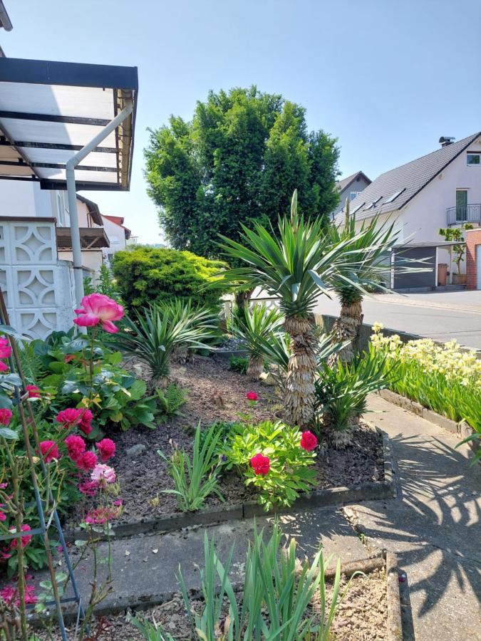 Urige Gemuetliche Ferienwohnung 64 M2 In Dielheim, Naehe Heidelberg Buitenkant foto